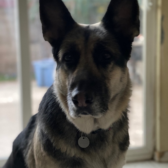 Meet your Posher, Mike - Picture 1 of 1